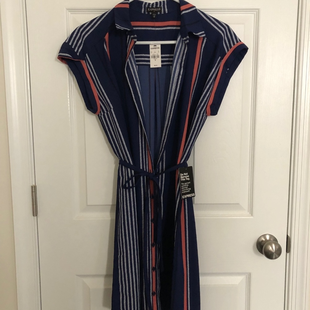 Blue stripped Express Dress